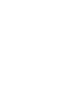 dell 1