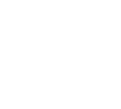 renault 1